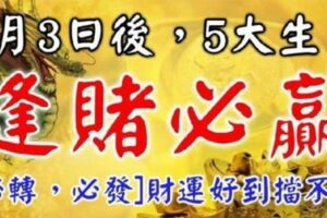 3月3日後，五大生肖，逢賭必贏『必轉必發』財運好到擋不住