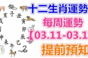 十二生肖運勢：每周運勢【03.11-03.17】提前預知！