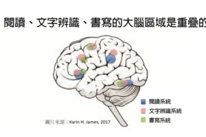 科學研究證實：學寫字有助於孩子的閱讀力發展！