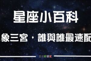 星座小百科！星座又分「四象三宮」，你知道另一半該找同象還是對宮嗎？看完這篇你就懂了！