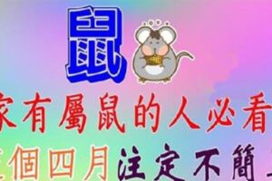 四月：生肖鼠的人運勢極好。