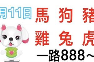 4月11日生肖運勢_馬、狗、豬大吉