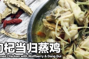 （視頻+視頻）枸杞當歸蒸雞SteamedChickenwithWolfberry&DangGui