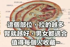 耳保健操：提拉按揉耳穴既能治病，又能養生保健