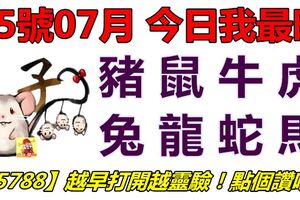 15號07月，今日我最旺！鼠牛虎兔龍蛇馬羊！【15788】越早打開越靈驗！點個讚吧！