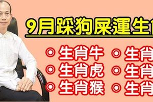 這六大屬相，9月狗屎運來了旺旺旺