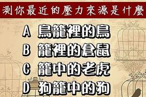 測你最近的壓力來源！若你是隻被囚禁的動物你覺得會是？