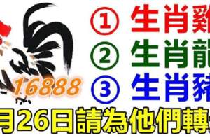 屬雞，龍，豬的人，5月26日請為他們轉走