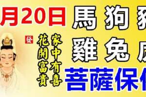 6月20日生肖運勢_馬、狗、豬大吉