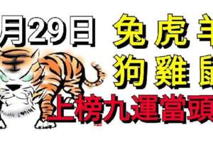 6月29日生肖運勢兔、虎、羊大吉