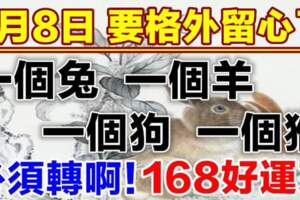 8月8日要格外留心了，一個兔，一個羊，一個狗，一個猴必須轉啊