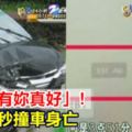 剛傳「有妳真好」！男下一秒撞車身亡