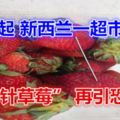 又一起紐西蘭一超市發現「藏針草莓」再引恐慌