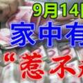 9月14日有意外之喜的生肖