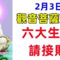 2月3日，觀音菩薩賜財，六大生肖請接財