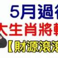 5月過後三大生肖將轉運，事業蒸蒸日上，財源滾滾來