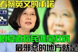 看看蔡英文的承諾 黃創夏直指民進黨政府最邪惡的地方就是...