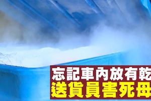 忘了4箱乾冰在車內　雪糕送貨員害死母親