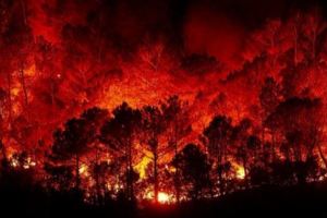 地球發燒了！熱浪來襲歐洲飆40度三個原因造成地球抗暖化失敗