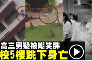 100公斤高三男常被笑胖　學校5樓跳下輕生