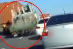 國道3號10車連環撞女駕駛崩潰驚叫