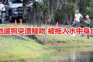 她遛狗突遭鱷吻被拖入水中身亡
