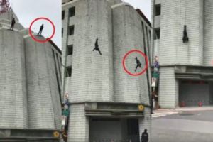 特勤警垂降訓練突下墜！摔遮雨棚墜地送醫
