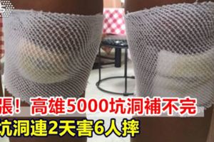 誇張！高雄5000坑洞補不完同坑洞連2天害6人摔