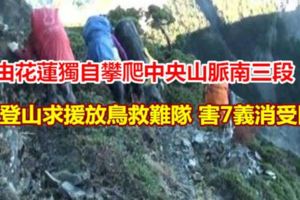 男登山求援放鳥救難隊害7義消受困
