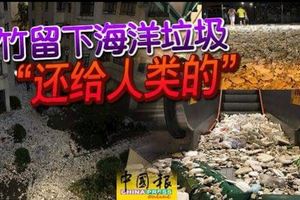 山竹留下海洋垃圾「還給人類的」