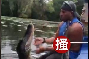 反差萌？美國猛男徒手餵兇鱷猛獸抬頭討摸摸網：狗狗4ni！