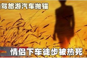 自駕旅遊汽車拋錨,情侶下車徒步被熱死!