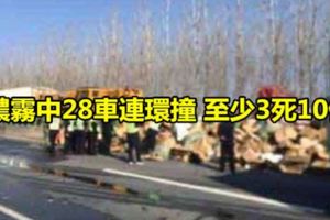 濃霧中28車連環撞至少3死10傷