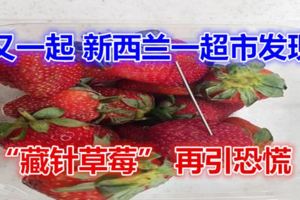 又一起紐西蘭一超市發現「藏針草莓」再引恐慌