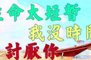 生命太短暫，我沒時間討厭你