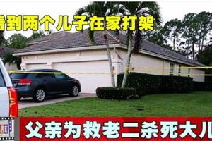 看到兩個兒子在家打架父親為救老二殺死大兒子！