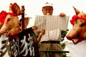 《董哥真心話》董智森：政界的豬故事