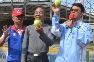謝龍介：勿為選舉不實扭曲　嚇跑通路商害慘柚農