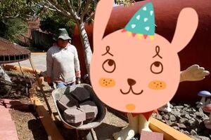 婦人修建自家花園，因為太過奇特，居然被政府以「妨礙公共安寧」告上法院