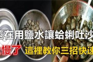 還在用鹽水讓蛤蜊吐沙？太慢了，這裡教你三招快速的，讓蛤蜊吐沙又快又徹底