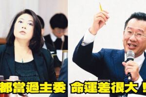獨立機關不好過！主委詹婷怡、陳英鈐掰了 只有「顧皇帝」穩坐大位