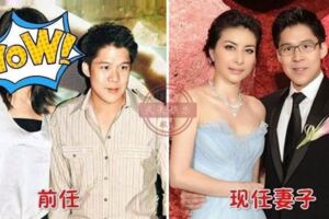 富二代霍啟剛：看了前任現狀，再看現任妻子，差距真是天差地別