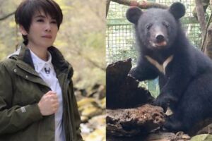主播登黑鷹拍小熊 野放保育破功