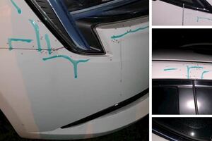 大雨來襲導致許多人車內引起螞蟻築窩令人看了不經頭皮發麻。網友求助有何方式可以完全清除！？
