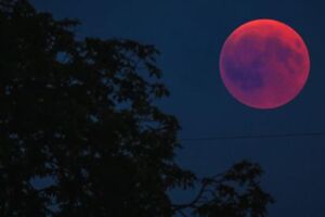 「超級血狼月」現身將發生大事？猶太預警：有強國恐將垮台