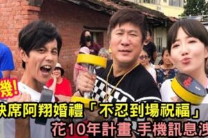 謝忻好心機？缺席阿翔婚禮「不忍到場祝福」，花10年計畫「捕獲好姊妹老公」手機訊息洩密