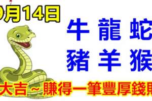 9月14日生肖運勢_牛、龍、蛇大吉