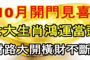 10月開門見喜，七大生肖鴻運當頭，財路大開橫財不斷