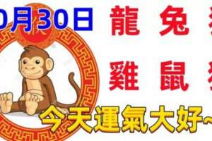 10月30日十二生肖【每日老黃曆】