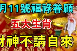 2月11號福祿眷顧，財神不請自來的生肖